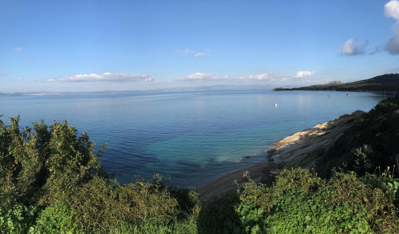 Hotel Almanarre Plage - Hotel Eco-Responsable Face A La Mer Hyeres Bagian luar foto
